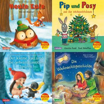 Maxi-Pixi-4er-Set 104: Bilderbuchwinter