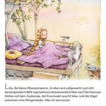Lilia, die kleine Elbenprinzessin: Die geheimnisvolle Zauberkugel: Maxi Pixi 478