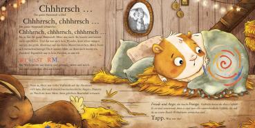 Metti Meerschwein und das große Abenteuer: Maxi Pixi 491