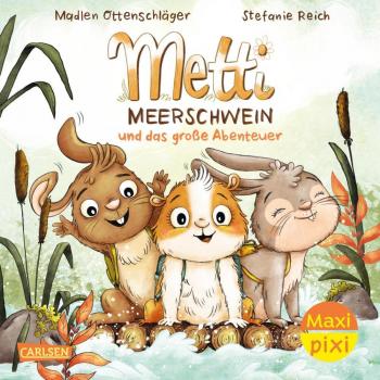 Metti Meerschwein und das große Abenteuer: Maxi Pixi 491